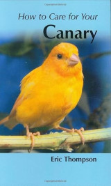 Your First Canary