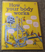 How your body works