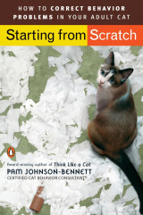 Starting from scratch. How to correct behavior problems in your adult cat.