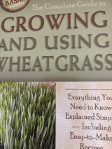 Growing and using wheatgrass