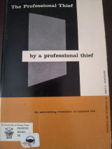 The professional thief