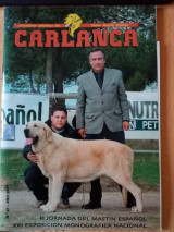 Carlanca no.31