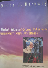 Modest Witness @ Second Millennium