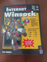 Developing for the Internet with Winsock