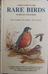 Rare birds of Britain and Europe