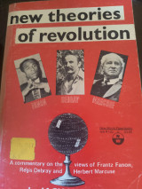 New theories of revolution
