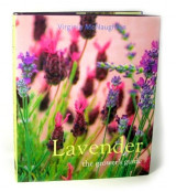 Lavender - The Grower's Guide