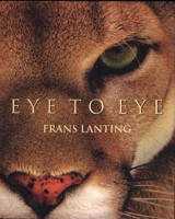 Eye to eye