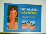 Saiclopaedia-1