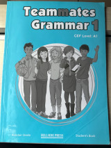 Teammates grammar 1 level A1