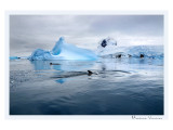 Antarctica. Photographs by Marina Vernicos