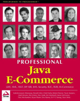 Professional java e-commerce
