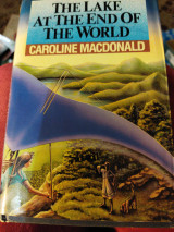 The lake at the end of the world