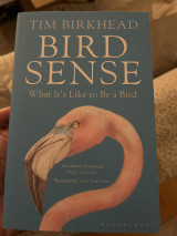 Bird sense