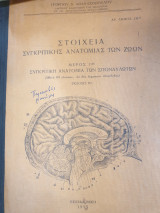 Στοιχεία συγκριτικής ανατομίας των ζώων