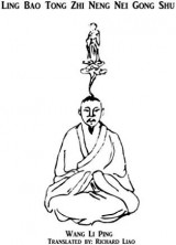 Ling Bao Tong Zhi Neng Nei Gong Shu