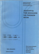 Λειτουργία των Κοιλιακών και Ραχιαίων Μυών