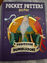 Pocket Potters Professor Dumbledore