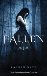 Fallen Fallen #1