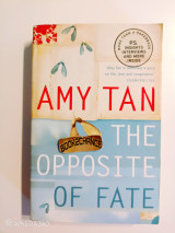 The Opposite of Fate