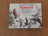 The making of America. Hawai