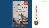 Le prine de la brume