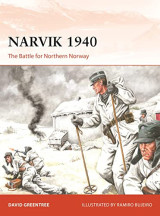 Cam 380 Narvik 1940 The Battle for Northern Norway