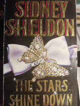 The stars shine down