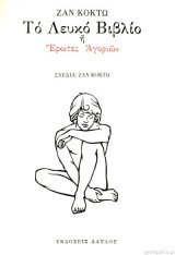 Το λευκό βιβλίο ή έρωτες αγοριών
