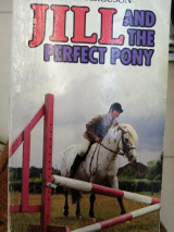 Jill and the perfect pony