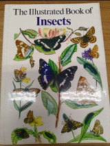 The Illustrated Book of Insects