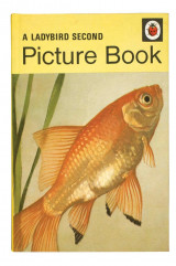 A Ladybird Second Picture Book