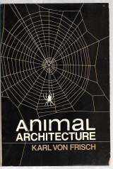 Animal Architecture