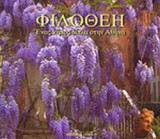 ΦΙΛΟΘΕΗ - ΕΝΑΣ ΚΗΠΟΣ ΔΙΠΛΑ ΣΤΗΝ ΑΘΗΝΑ