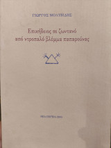 Επικήδειος σε ζωντανό από ντροπαλό βλέμμα παπαρούνας