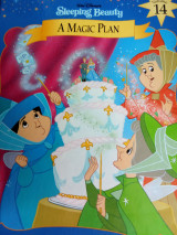 Sleeping beauty A magic plan