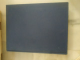 Larousse Dictionary of painters