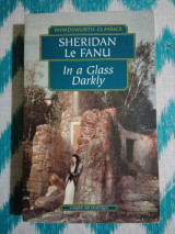 In a Glass Darkly
