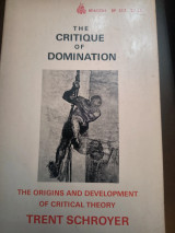 The critique of domination