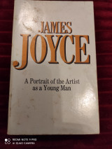 A portrait of The artist as a young man