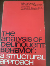 The analysis of delinquent behavior