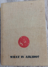 What is aikido