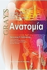 Gray's ανατομία