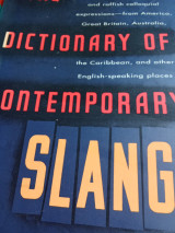 The Dictionary of Contemporary Slang