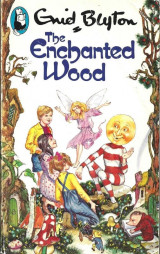 The Enchanted Wood
