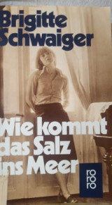 Wie kommt das Salz ins Meer?