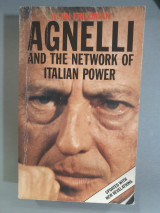 Agnelli and the Network of Italian Power