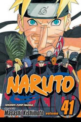 Naruto, Vol. 41 v. 41