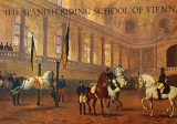 The Spanish riding school of Vienna