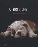 A Dog's Life